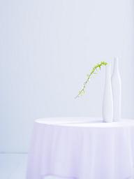 LERS�̊����n��