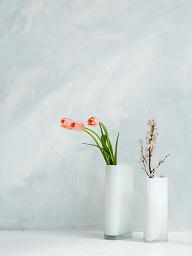 LERS�̎��Ɠ��e